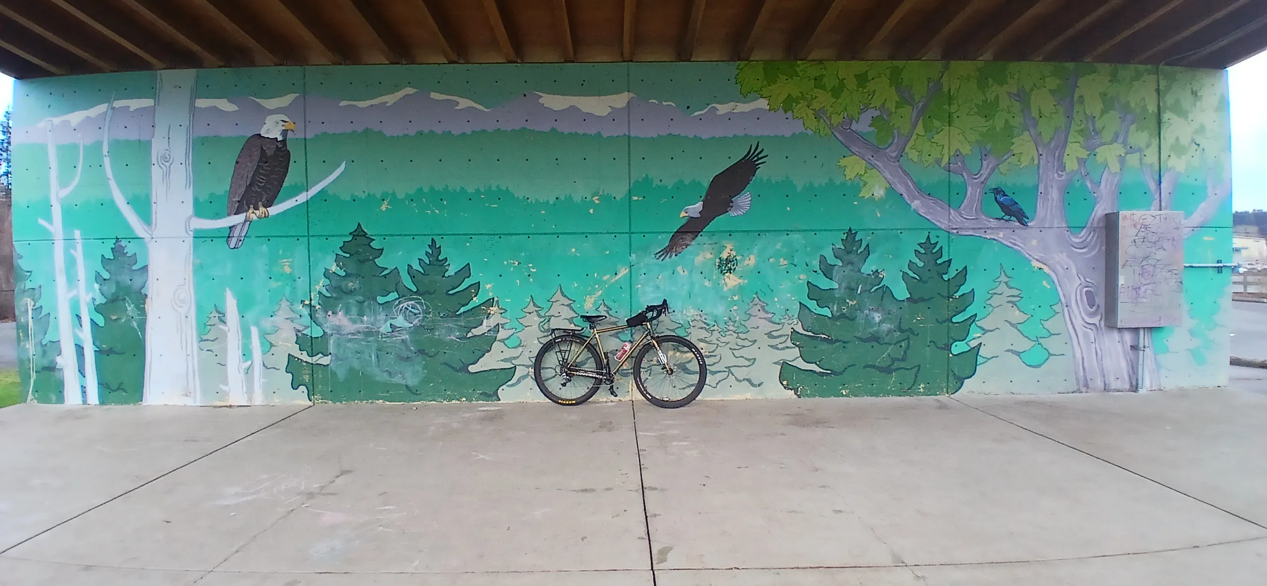 https://comoxvalley-biketag.sfo3.cdn.digitaloceanspaces.com/main/comoxvalley-tag-103--mystery.webp